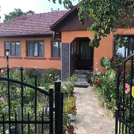 Casuta Bunicilor Isverna Hotel Ngoại thất bức ảnh